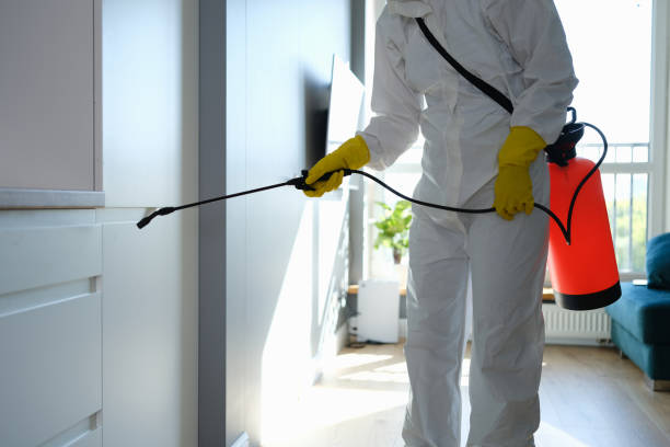Best Kitchen Mold Remediation in Marseles, IL